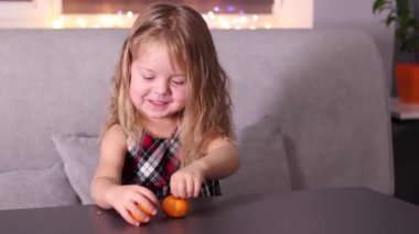 Gri odada Mandarin Clementine olan kırmızı kareli elbiseli sevimli küçük kız. Yeni yıl, çocukluk, Noel. Tam HD görüntü.