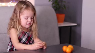 Gri odada Mandarin Clementine olan kırmızı kareli elbiseli sevimli küçük kız. Yeni yıl, çocukluk, Noel. Tam HD görüntü.