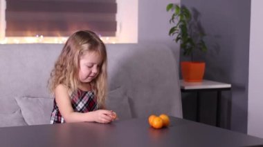Gri odada Mandarin Clementine olan kırmızı kareli elbiseli sevimli küçük kız. Yeni yıl, çocukluk, Noel. Tam HD görüntü.