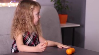 Gri odada Mandarin Clementine olan kırmızı kareli elbiseli sevimli küçük kız. Yeni yıl, çocukluk, Noel. Tam HD görüntü.