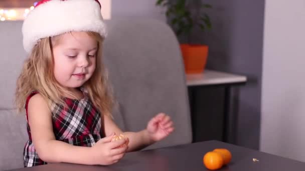 Charming Little Girl Red Checkered Dress Mandarins Clementine Gray Room — Stock Video