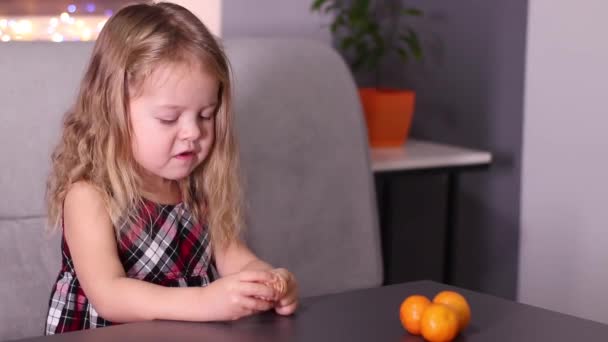 Encantadora Niña Vestido Cuadros Rojo Con Mandarinas Clementine Habitación Gris — Vídeos de Stock