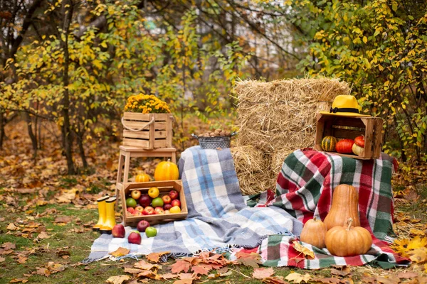 Autumn Photozone Fall Decorations Plaid Hat Pumpkins Apples Hay Flowers — Stock Photo, Image