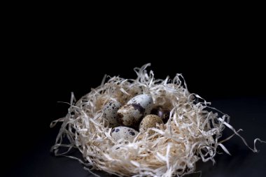 Kuru otlardan toplanmış bıldırcın yumurtaları ya da karanlık arka planda izole edilmiş saman yığınları. Paskalya yumurtaları. Gıda veya restoran menüsü tasarımı için kopyalama alanı.