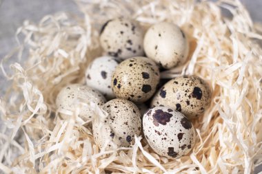 Kuru ot, buğday, yulaf ve darı yuvasında bıldırcın yumurtası bileşimi. Sağlıklı gıda konsepti. Gıda veya restoran menüsü tasarımı için metin reklamı için boş alan.