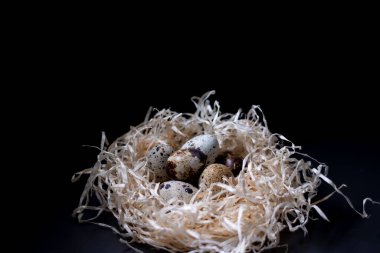 Kuru otlardan toplanmış bıldırcın yumurtaları ya da karanlık arka planda izole edilmiş saman yığınları. Paskalya yumurtaları. Gıda veya restoran menüsü tasarımı için kopyalama alanı.