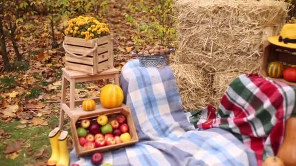 Φθινοπωρινή Φωτοζώνη Από Φθινοπωρινή Διακόσμηση Καρό Και Καπέλο Κολοκύθες Μήλα — Αρχείο Βίντεο