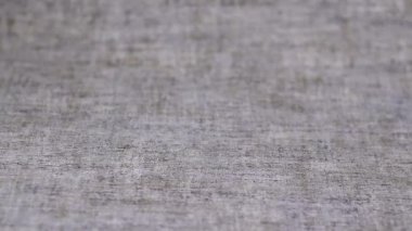 Gri arka planda kayan bıldırcın yumurtalarını kapatın. Organik tarım, doğal natürmort. İlkbahar, Paskalya