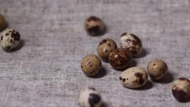Close Ovos Codorna Deslizando Sobre Fundo Acinzentado Agricultura Biológica Natureza — Vídeo de Stock
