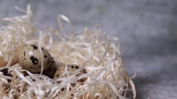 Κοντινό Πλάνο Των Αυγών Ορτυκιού Πέφτει Μια Αχυρένια Φωλιά Βιολογική — Αρχείο Βίντεο
