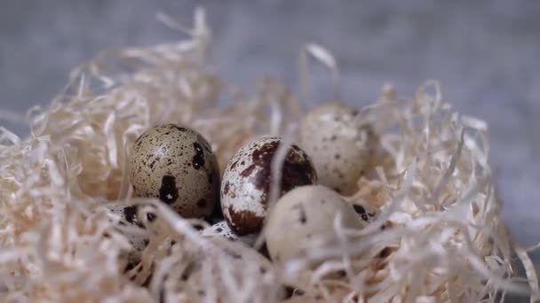 Feche Ovos Codorniz Ninho Palha Agricultura Biológica Natureza Morta Primavera — Vídeo de Stock