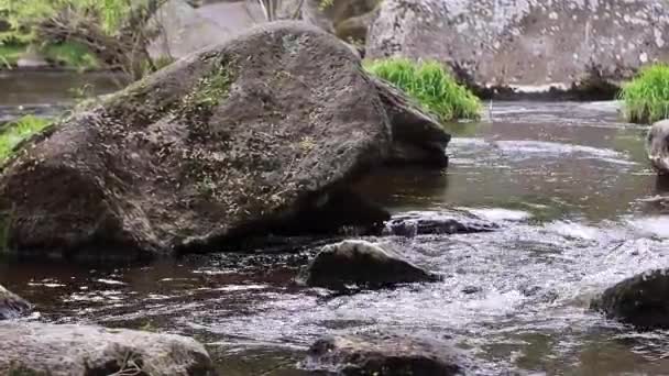 Beautiful Brook Mountains Stones Overgrown Moss Wild Nature Wonderful Fresh — Stock Video