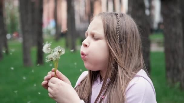 Ritratto di una bella adolescente che soffia sul dente di leone maturo in un parco primaverile o estivo. video al rallentatore — Video Stock