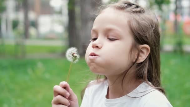 Mignonne petite fille jouer coup sur un pissenlit dans le parc. Un enfant heureux qui s'amuse dehors. vacances ou vacances. ralenti supplémentaire — Video