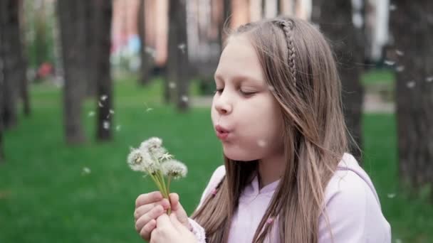 Menina bonito jogar golpe em um dente-de-leão no parque. Miúdo feliz a divertir-se ao ar livre. férias ou feriados. movimento extra lento — Vídeo de Stock