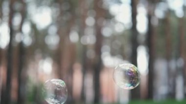 Sabun köpükleri bulanık bir arka planda uçar ya da parkta. Yaz. ekstra yavaş çekim.