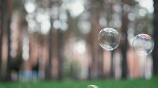 Zeepbellen vliegen op een wazige achtergrond van een bos of park. Zomer. extra slow motion — Stockvideo