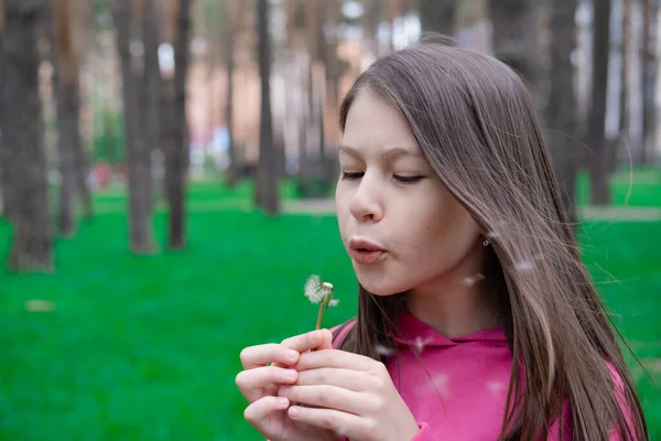 Linda Niña Jugar Golpe Diente León Parque Chico Feliz Divirtiéndose —  Fotos de Stock