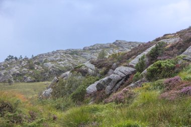 Norveç 'in kayalık kıyıları