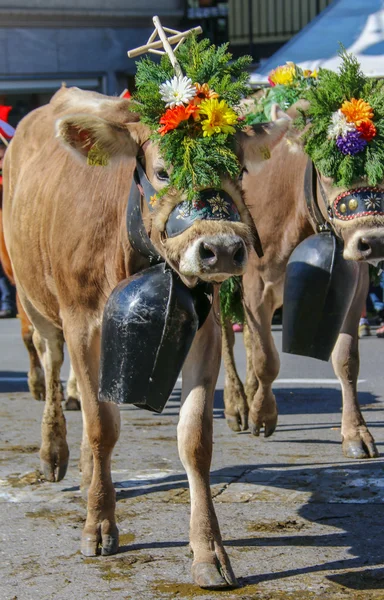 Almabzug — Stock Photo, Image