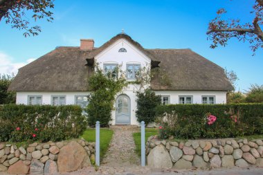 Thatched house