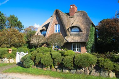 Thatched house
