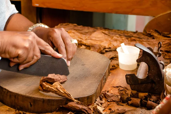 Produzione di sigari fatti a mano — Foto Stock