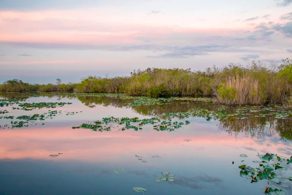 Coucher de soleil au Parc National des Everglades II — Photo