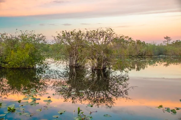 Západ slunce v národní Park Everglades Iii — Stock fotografie