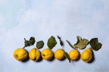 Mavi arka planda organik kusurlu bıldırcın elmaları. Doğrudan görüş açısının üstünde. Meyve ve yaprakların doğal kusurları, lekeleri ve çizikleri vardır. Sert gölgeler. Yatay oryantasyon. Boşluğu kopyala.