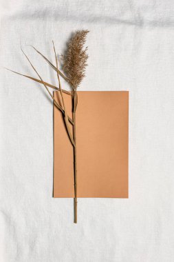 Doğal kurutulmuş kamış çiçeği ve deve kare beyaz keten üzerinde boş kağıt çarşaf. Kurumuş çiçek ve fotokopi alanı ile dokunsal düz arkaplan. Organik tasarım. Pastel renkler. Dikey yönelim.