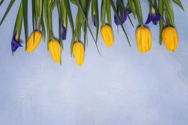 Grupo Tulipán Amarillo Iris Azul Flores Naturales Con Hojas Verdes —  Fotos de Stock