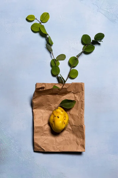 Deitado Plano Com Saco Compras Papel Amassado Maçã Marmelo Amarela — Fotografia de Stock