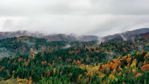 Hyperlapse Des Nebligen Morgens Inmitten Malerischer Berge Und Wälder Drohnen — Stockvideo