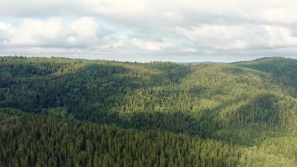 Вид Воздуха Беспилотника Панорамный Природный Пейзаж Плотный Зеленый Лес Горы — стоковое видео