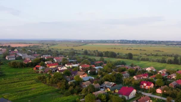 Nad Vesnicí Létají Vlaštovky Vzdušný Letoun Pohled Vesnici Krásná Krajina — Stock video