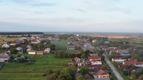 Ländliche Landschaft Häuser Höfe Straßen Und Natur Schwalben Fliegen Über — Stockvideo