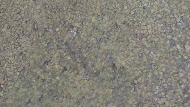 Rivière Mountain Eau Salée Lave Les Pierres Qui Recouvrent Fond — Video