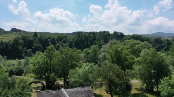 Ett Pittoreskt Naturlandskap Gamla Trähus Mitt Grönskan Från Byn Svalor — Stockvideo