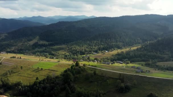 Paesaggio Panoramico Aereo Montagne Sono Coperte Foreste Conifere Erba Verde — Video Stock