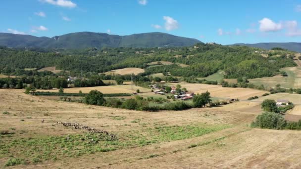 絵のように美しい自然の間の山の斜面に羊の羊飼いの放牧群れ 空中パノラマ風景 美しいイタリア — ストック動画