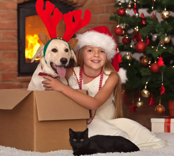 Celebrando o Natal com meus amigos peludos — Fotografia de Stock