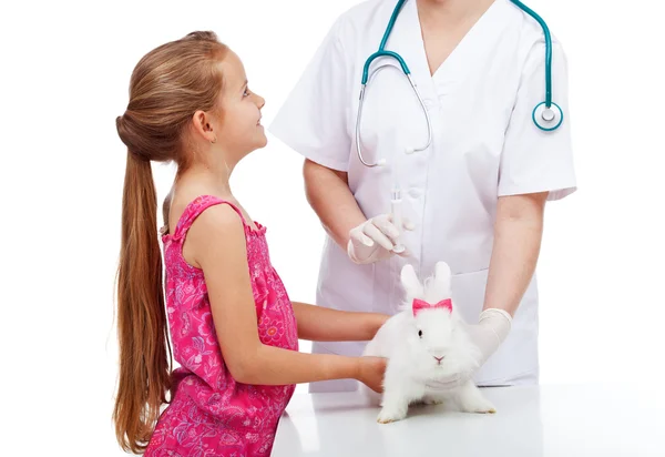 Niña en el veterinario con su lindo conejo Imágenes de stock libres de derechos