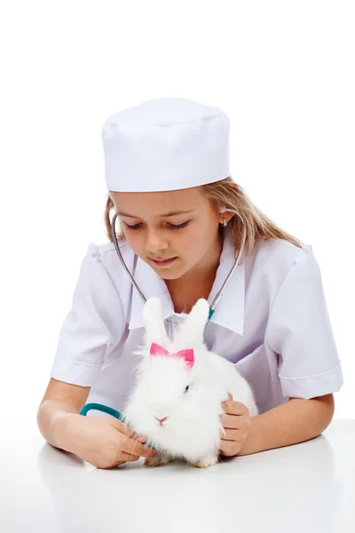 Niña jugando veterinaria con su conejo Fotos de stock