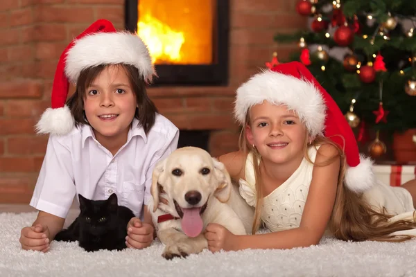 Crianças felizes e seus animais de estimação celebrando o Natal — Fotografia de Stock