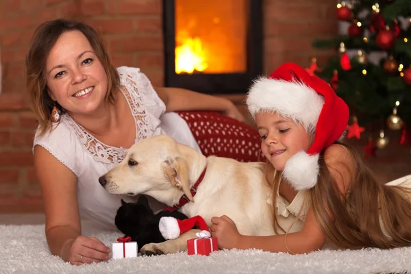 Christmas with the family pets — Stock Image Christmas with the family pets Stock Image