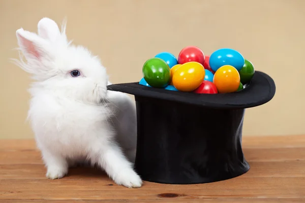 Pascua mágica con conejo y huevos de colores —  Fotos de Stock