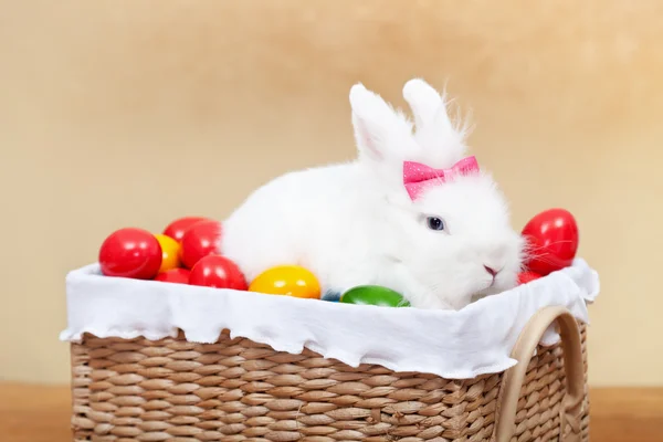 Cute Zajączek siedzi w kosz z kolorowymi jajkami - zbliżenie — Zdjęcie stockowe