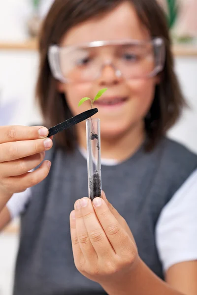 Jeune garçon étudiant l'évolution des plantes en classe de sciences — Photo