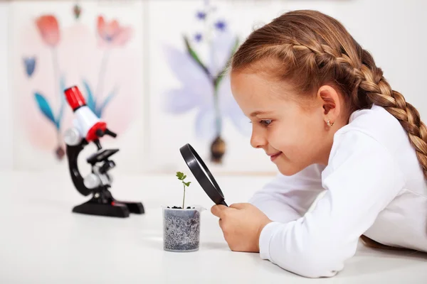 Young student studies small plant — Stock Photo, Image